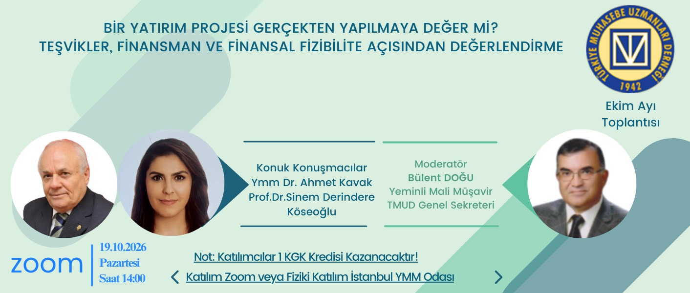 BİR YATIRIM PROJESİ GERÇEKTEN YAPILMAYA DEĞERMİ ? TEŞVİKLER, FİNANSMAN VE FİNANSAL FİZİBİLİTE AÇISINDAN DEĞERLENDİRME.